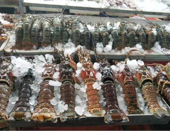 我國最適合&ldquo;養老&rdquo;城市,365天鳥語花香,海鮮簡直不要錢!