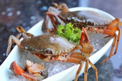 198元龍蝦海鮮拼盤免費送！品味鮮香，暢享海鮮火鍋盛宴